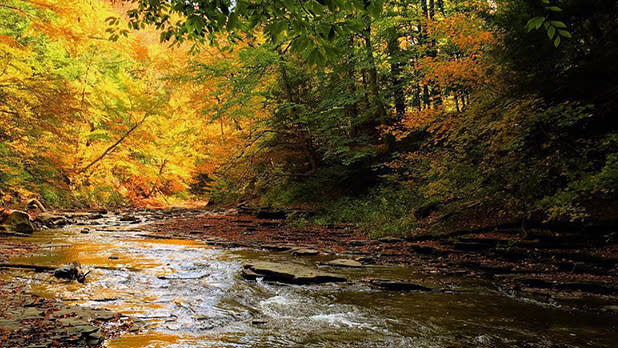 Beautiful foliage surrounds a waterway at Chautauqua Gorge State Park