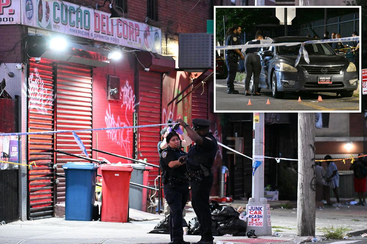 Innocent NYC woman bleeds out after being shot by stray bullet