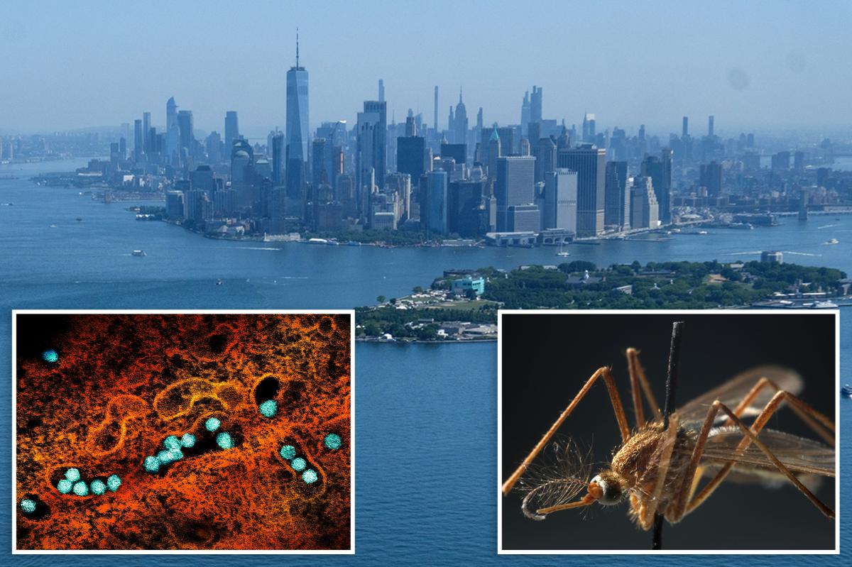 First 2026 case of dangerous West Nile virus detected in NYC: officials