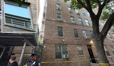 5-year-old boy falls out of 4th floor window of NYC apartment building: sources