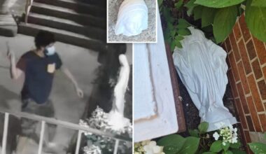 Godless hammer-wielding maniac beheads Virgin Mary statue in NYC