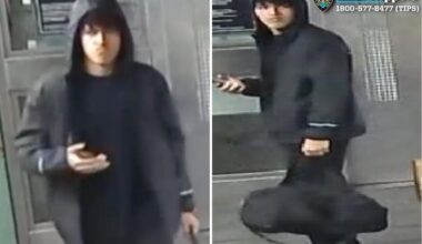 NYC suspect shoves man onto subway tracks in Harlem