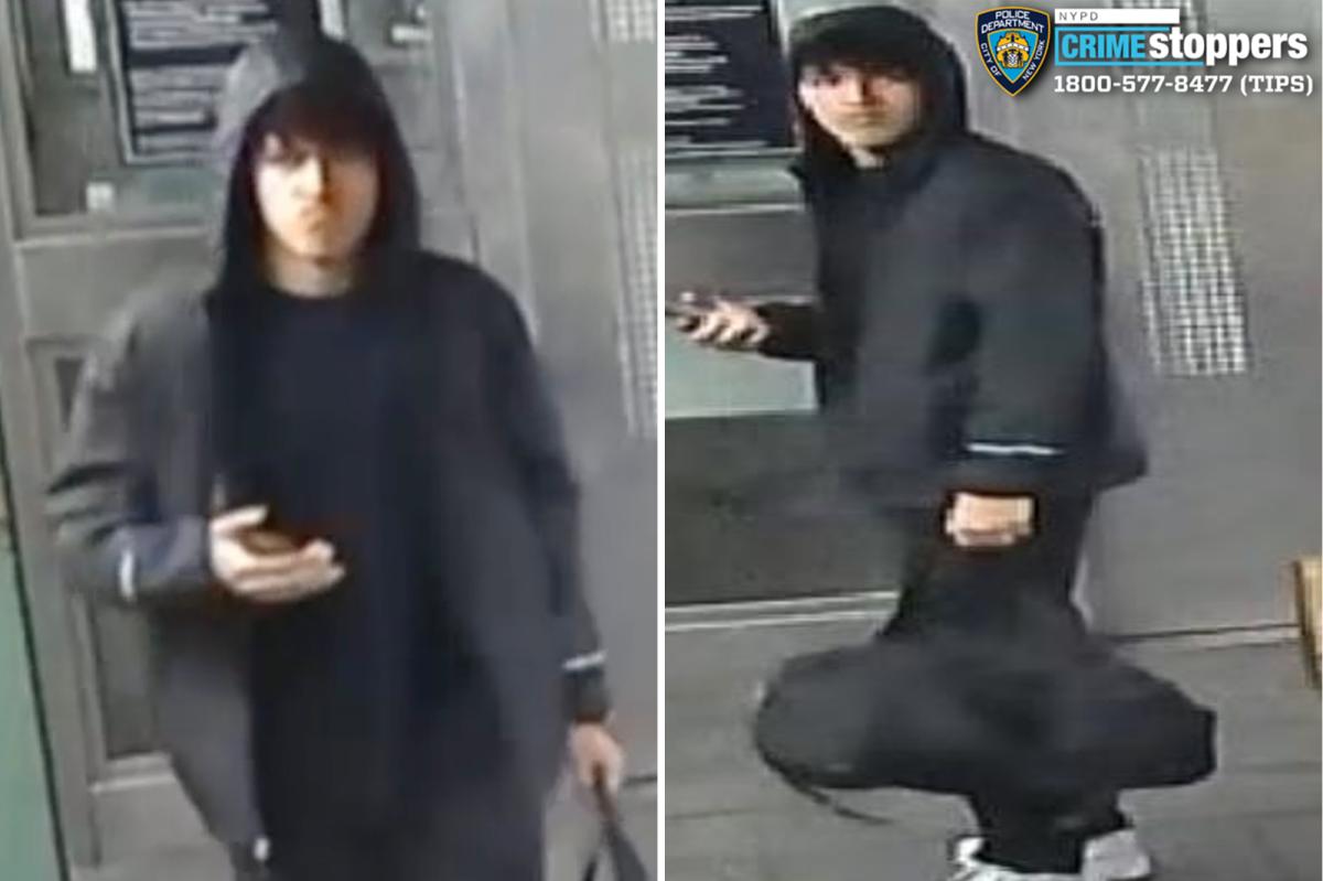 NYC suspect shoves man onto subway tracks in Harlem