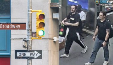 gay