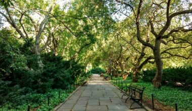 Why Some NYC Neighborhoods Feel Hotter Than Others