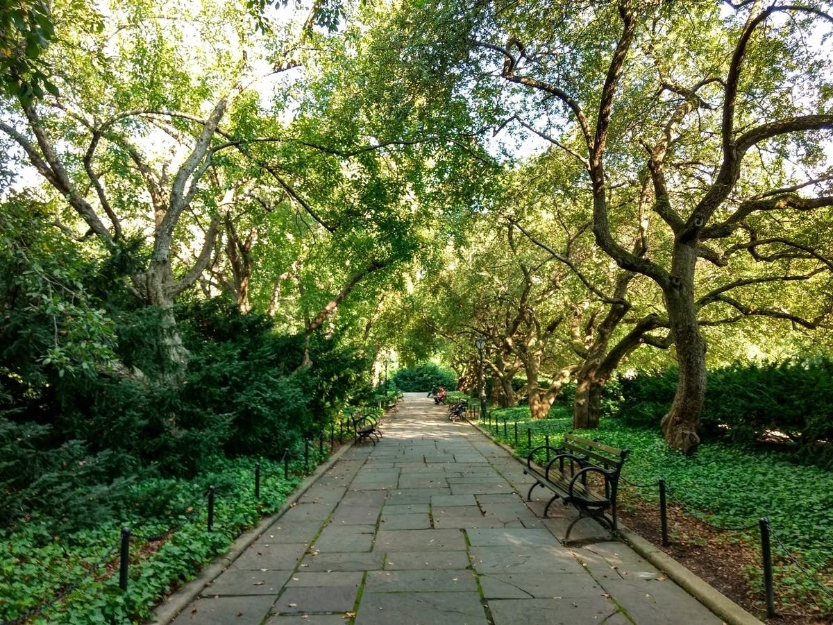 Why Some NYC Neighborhoods Feel Hotter Than Others