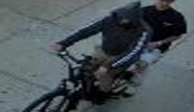 Crooks snatch expensive necklace from young woman on Northern Boulevard in Jackson Heights: NYPD – QNS