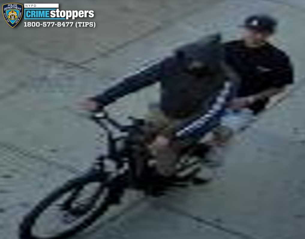 Crooks snatch expensive necklace from young woman on Northern Boulevard in Jackson Heights: NYPD – QNS