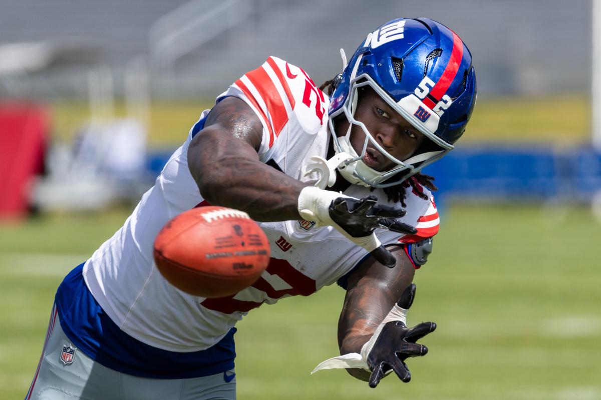 The approach that has Arvell Reese destined to be a Giants' menace
