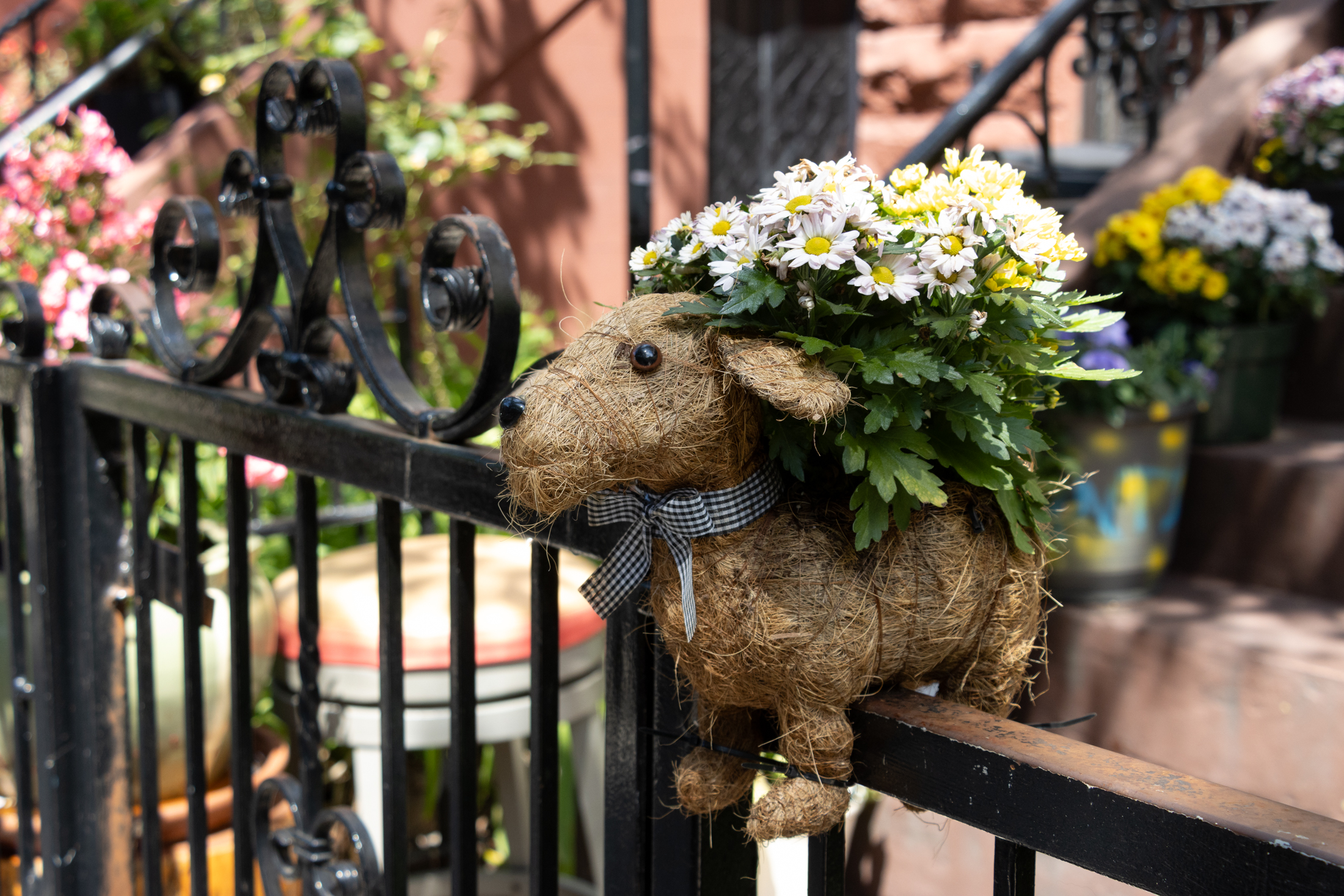 a dog shaped planter on a fence
