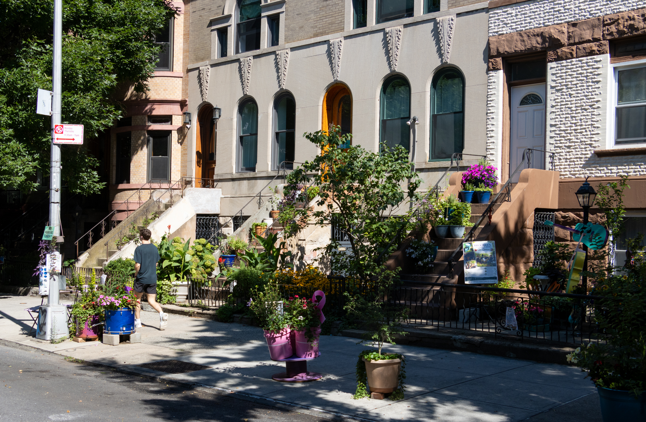 street view of row houses with plants on stoops