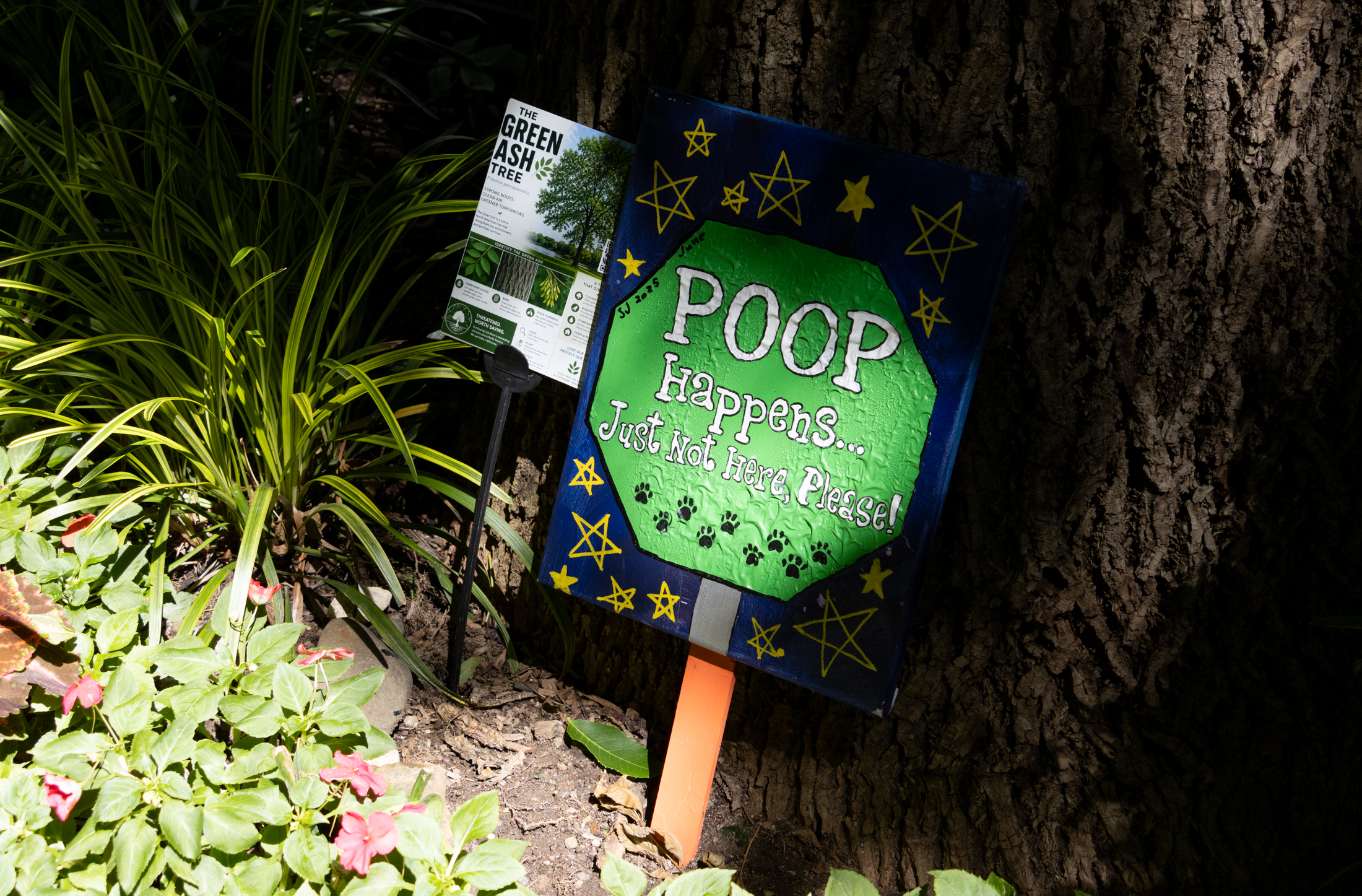 tree pit sign saying poop happens just not here please