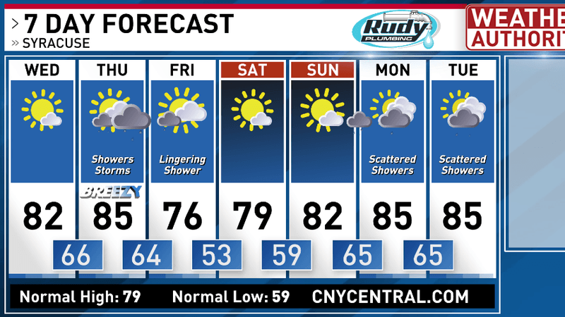7 day forecast