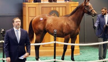 F-T New York Bred-Sale Concludes With Record Highs