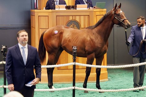 F-T New York Bred-Sale Concludes With Record Highs