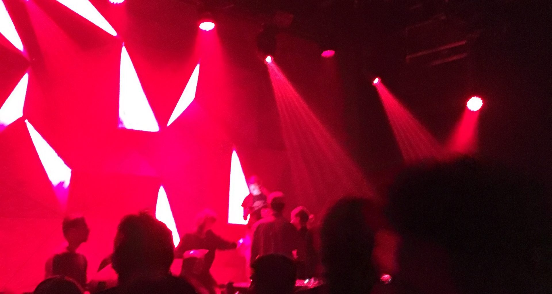 Review: I went clubbing in Brooklyn and lived to tell the tale – The Daily Tar Heel