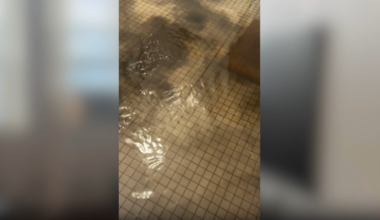 East Orange Marijuana Crackdown 2