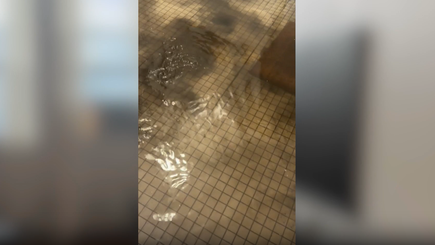 East Orange Marijuana Crackdown 2
