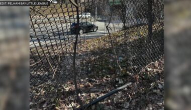 Bronx Little League field plagued by graffiti, break-ins, deteriorating conditions, parents say