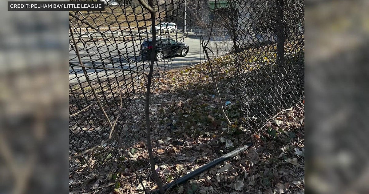 Bronx Little League field plagued by graffiti, break-ins, deteriorating conditions, parents say