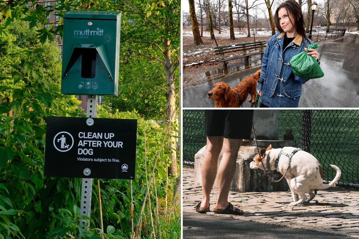 NYC will spend $180K in effort to curb rampant dog poop problem