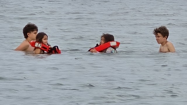 Family swimming near Cortez