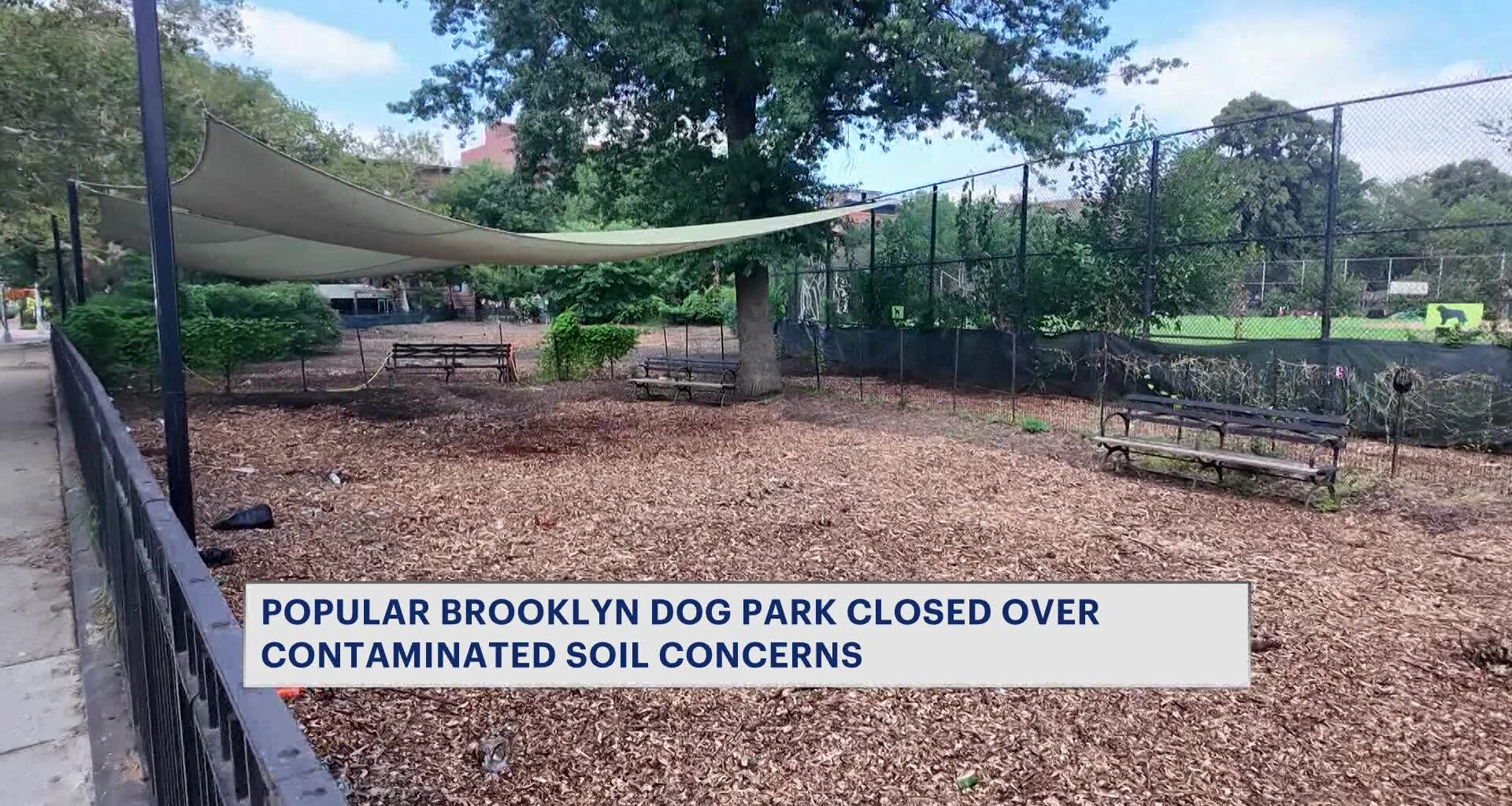 News 12 | Brooklyn | Dog Run At Bed Stuy Park Closes Temporarily Due To Possible Soil Contamination