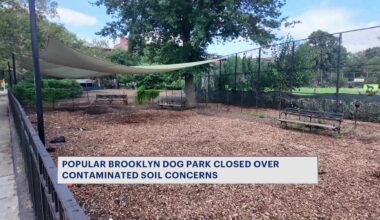 News 12 | Brooklyn | Dog Run At Bed Stuy Park Closes Temporarily Due To Possible Soil Contamination