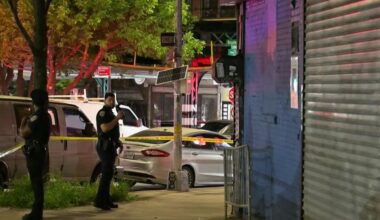 News 12 | Brooklyn | Man Shot To Death In Bushwick Gunman On The Run