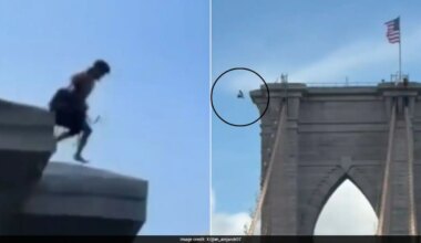 Video: Man Miraculously Survives Fall After Jumping Naked From Brooklyn Bridge