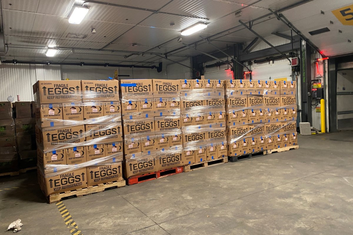 Over 280,000 Eggs Delivered to New York City After National Price-Fixing Investigation
