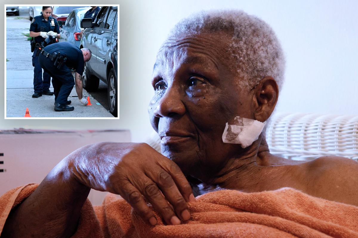 NYC granny, 87, unaware she was shot in the neck by armed teens until stranger pointed out wound: 'I was bleeding so much'