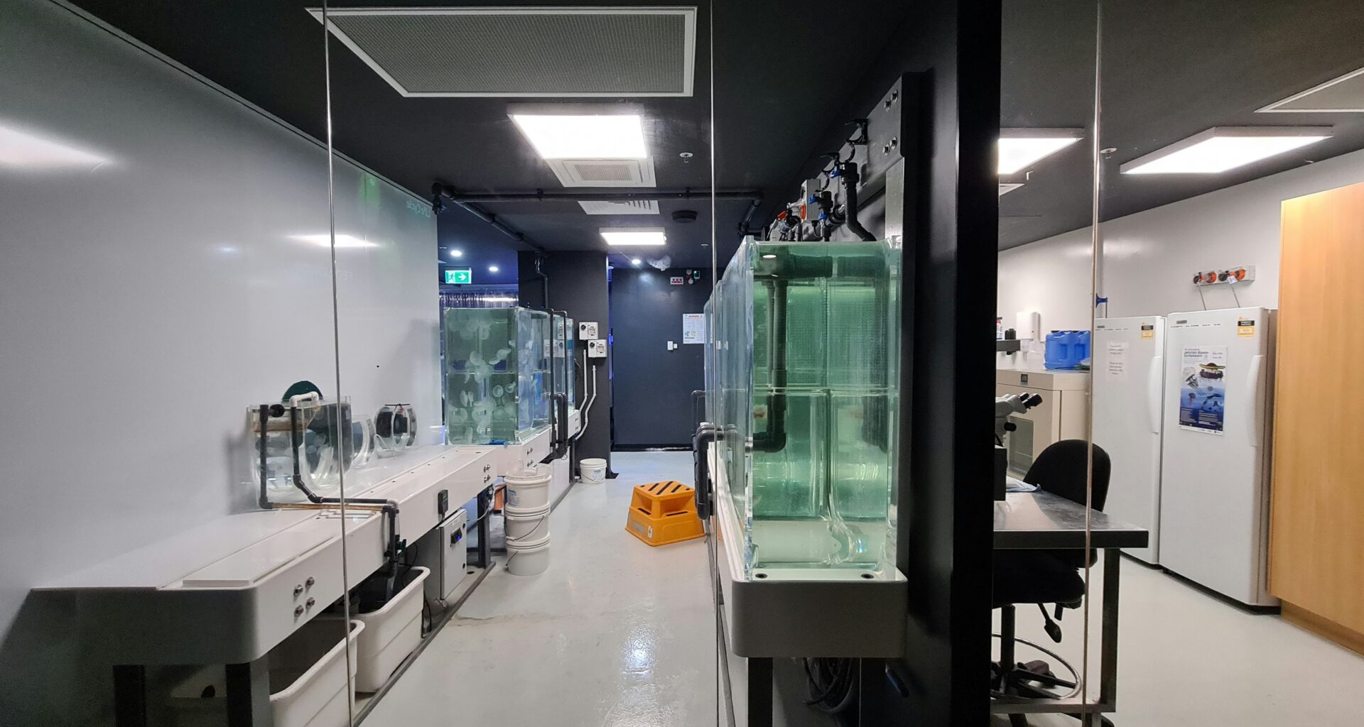 The Pain In NYC's Biotech Market Is Hitting Harlem Hardest