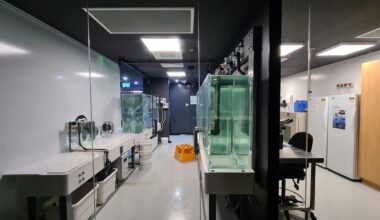 The Pain In NYC's Biotech Market Is Hitting Harlem Hardest