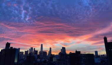 Welcome to Empty Manhattan