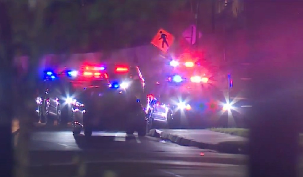 Police cars with flashing red and blue lights are seen at night.