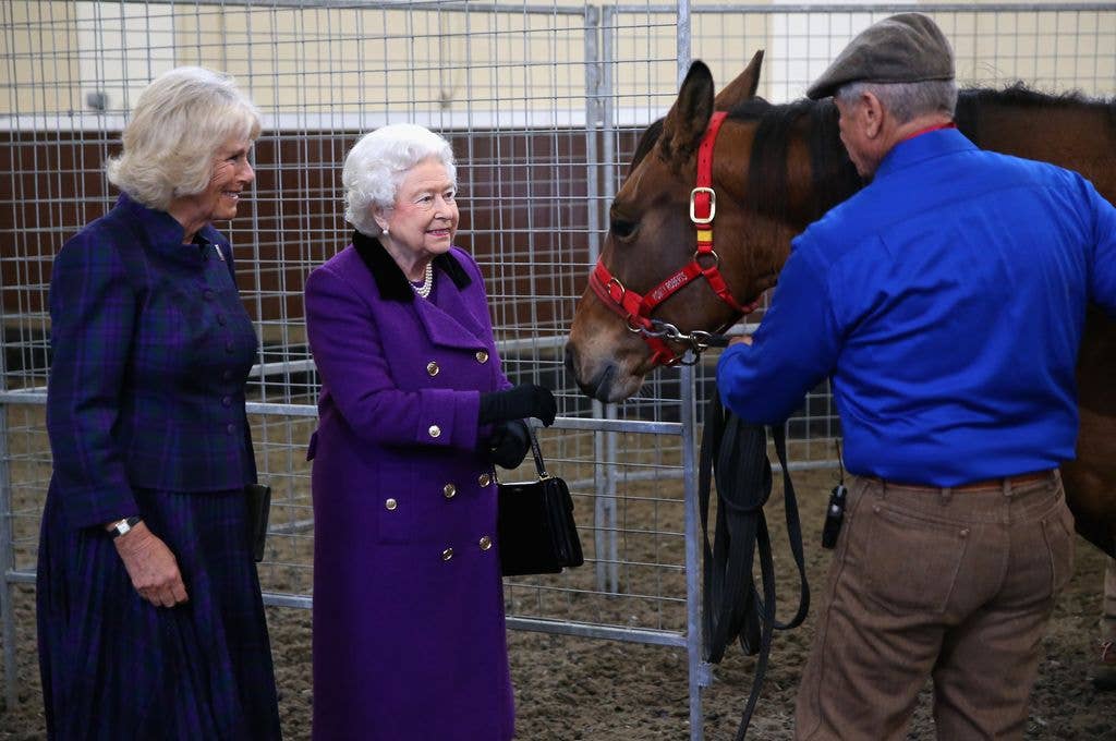 Camilla, Duchess of Cornwall and Queen Elizabeth II attend a horse whispering demonstration by Brooke Global Ambassador Monty Roberts at the Royal Mews, Buckingham Palace on October 21, 2015 in London, England. The Brooke is an international animal welfare charity working to improve the lives of horses, donkeys and mules.