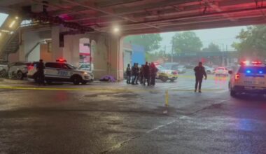 News 12 | Bronx | Man Arrested For Van Nest Deadly Shooting