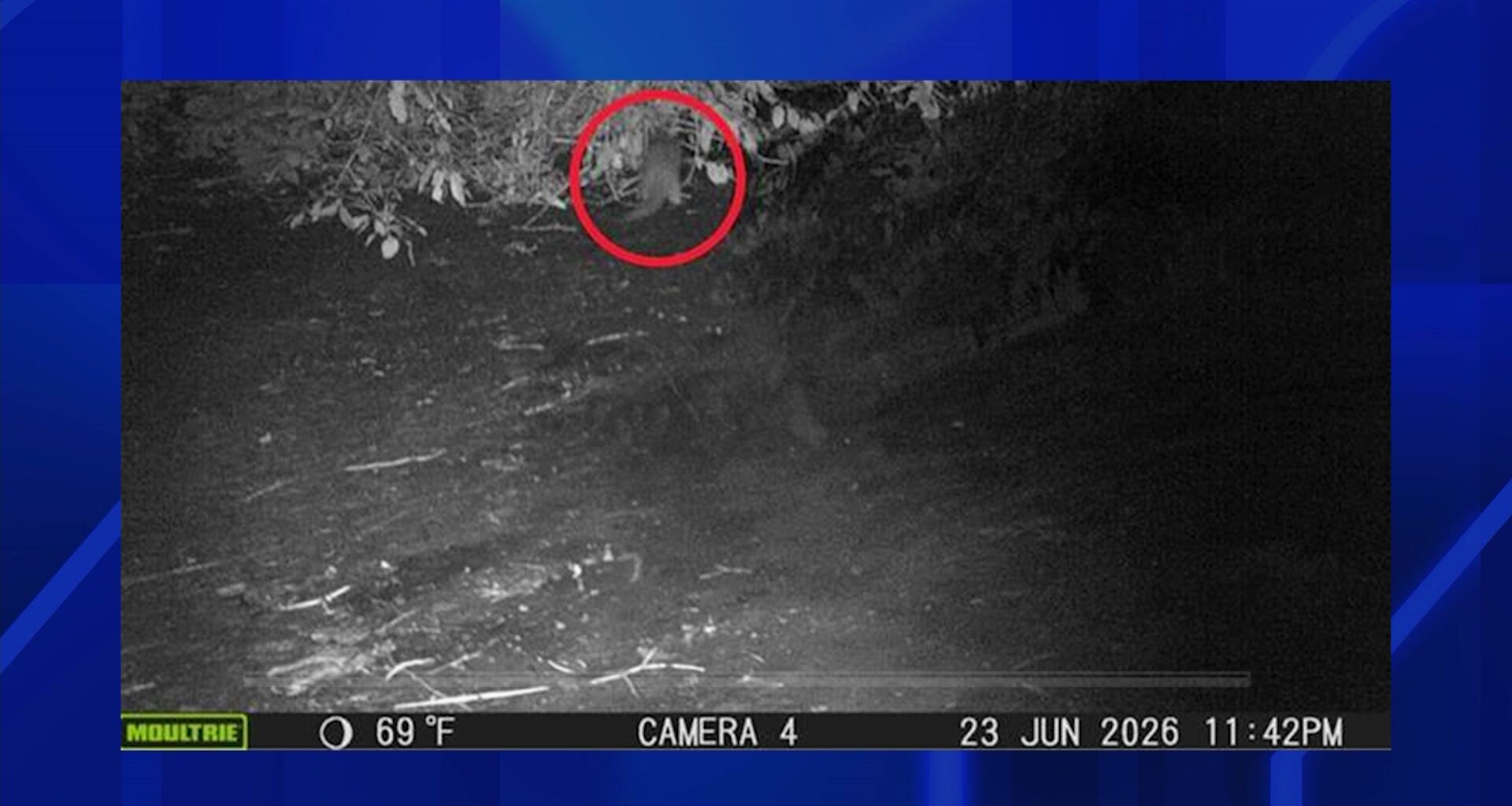 News 12 | Bronx | First River Otter Spotted In The Bronx After Nearly 100 Years