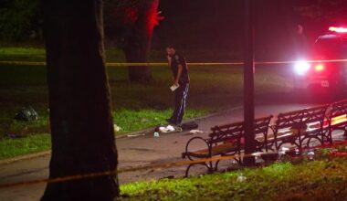 Woman stabbed, killed inside a park in Crown Heights, Brooklyn, police say