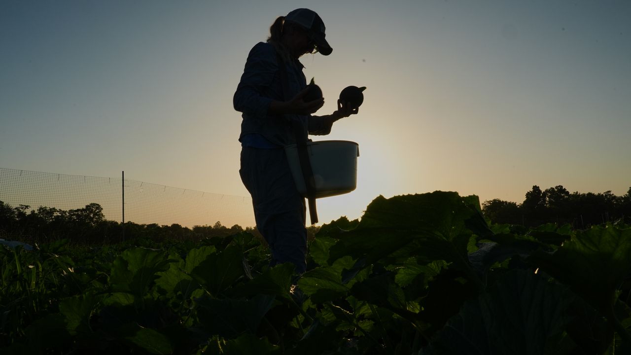 Deadline looms for farmers to apply for tariff assistance