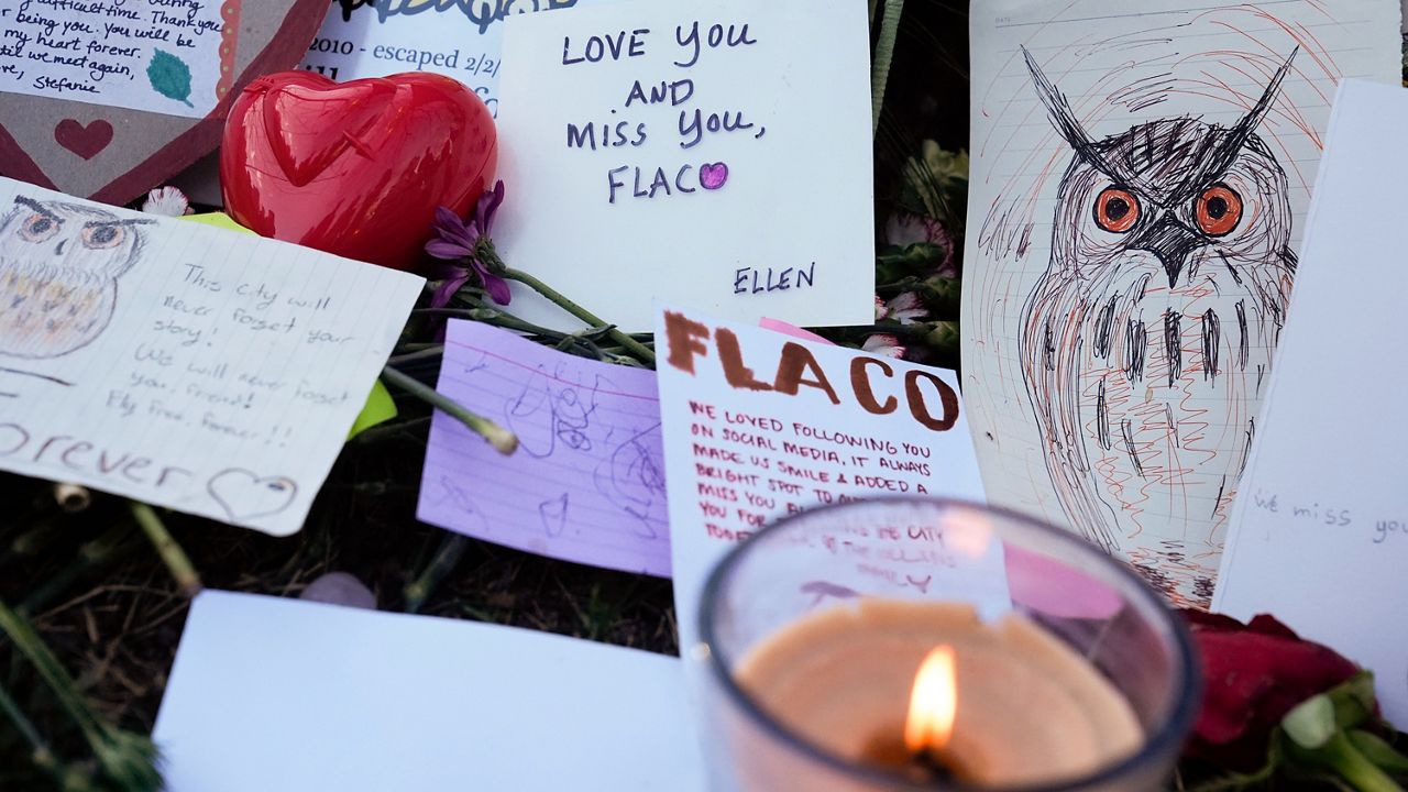 'Lights Out' push follows death of beloved owl Flaco