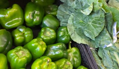 fresh food