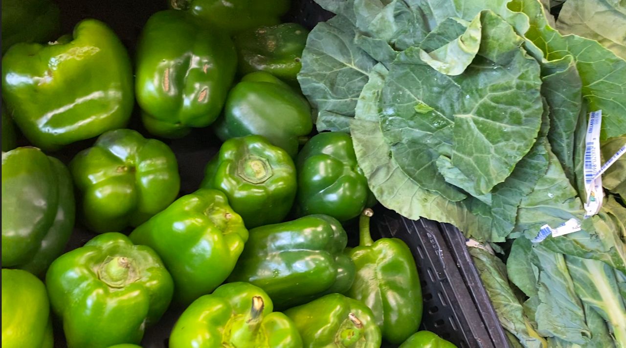 fresh food