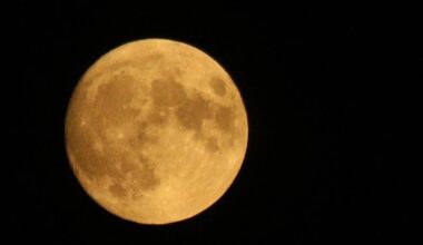 Nearly A Blood Moon: When To See The Deep Lunar Eclipse In NYC