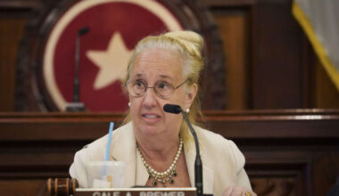 Gale Brewer