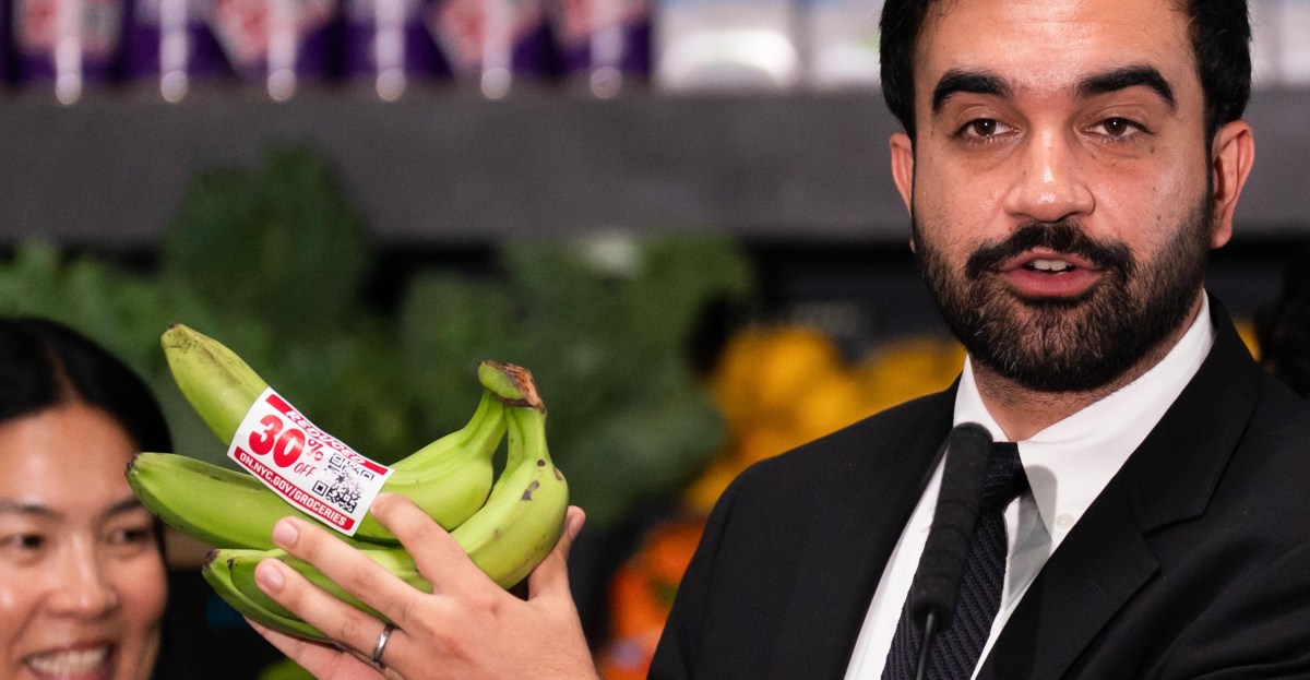 Zohran Mamdani’s grocery stores will sell cheap food — but at a high cost