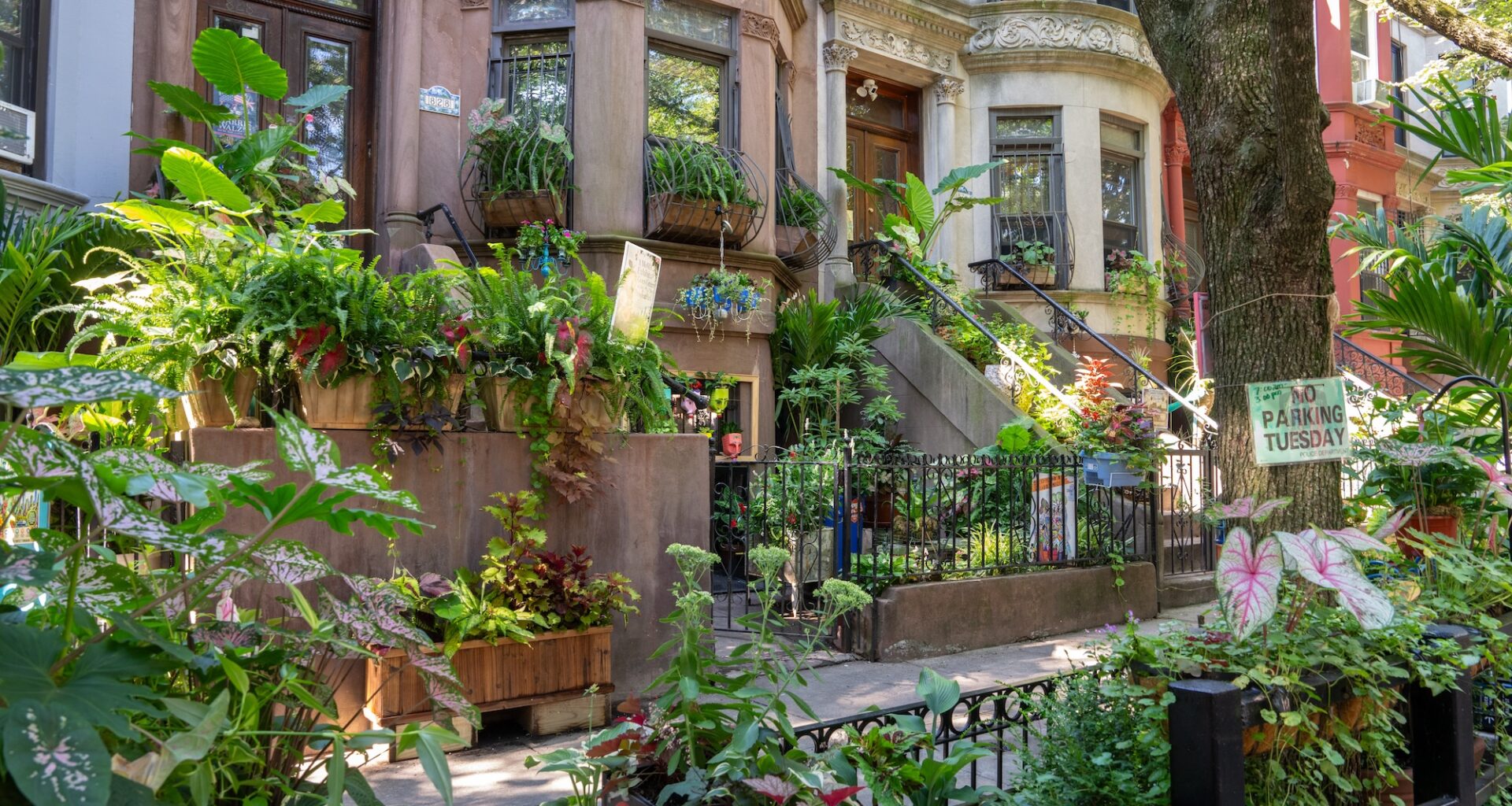 The greenest block in Brooklyn is in Crown Heights again