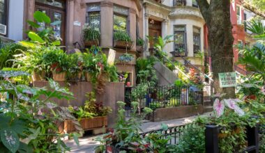The greenest block in Brooklyn is in Crown Heights again