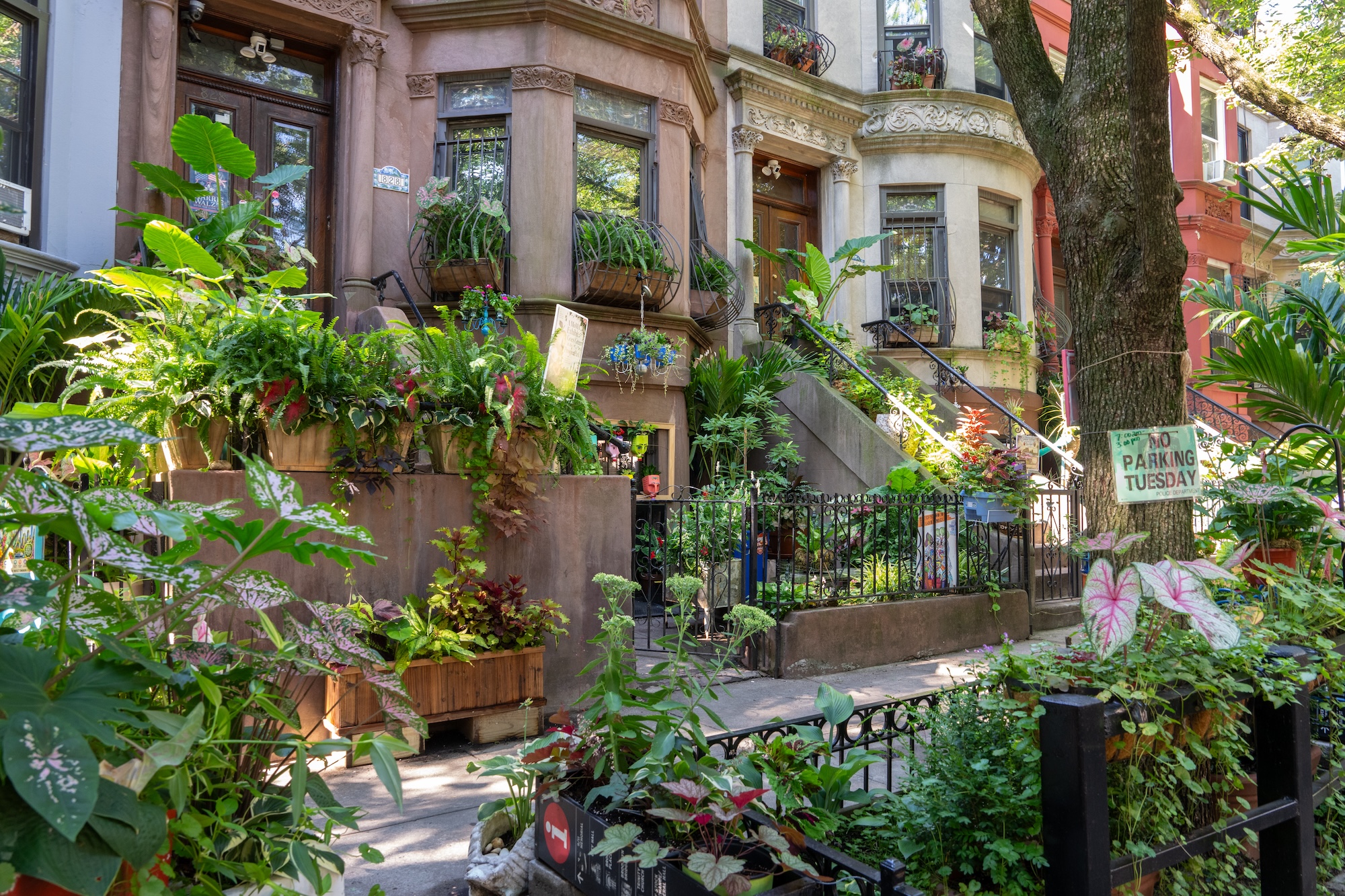 The greenest block in Brooklyn is in Crown Heights again The greenest block in Brooklyn is in Crown Heights again